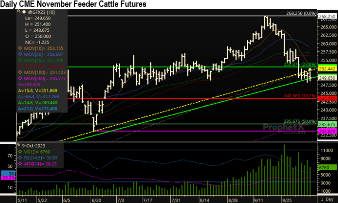 10092023MC_Feeder_cattle.png